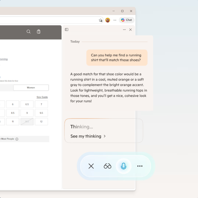 Copilot Vision browser interface